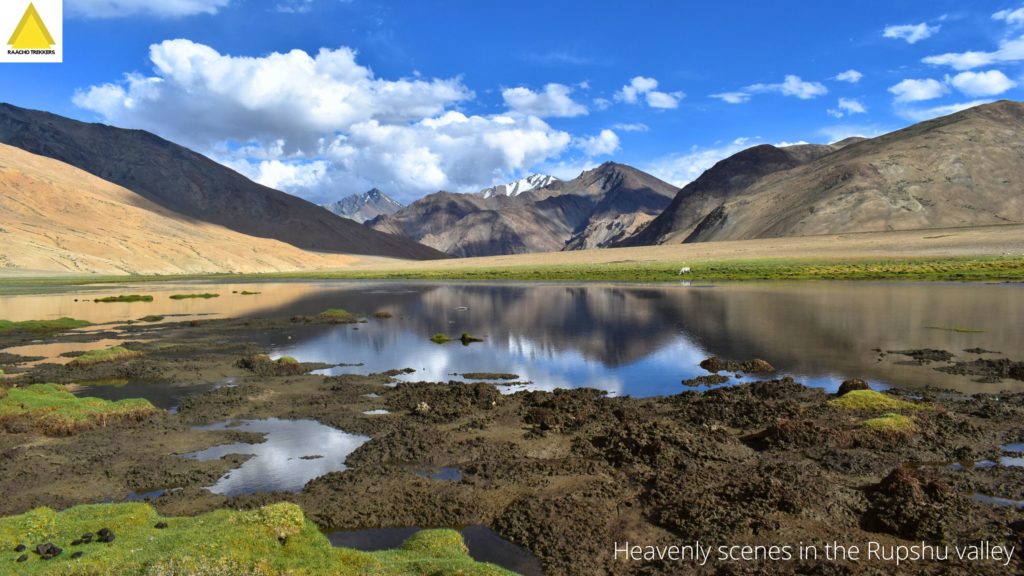 A high altitude wetland in Rupshu Valley of Ladakh