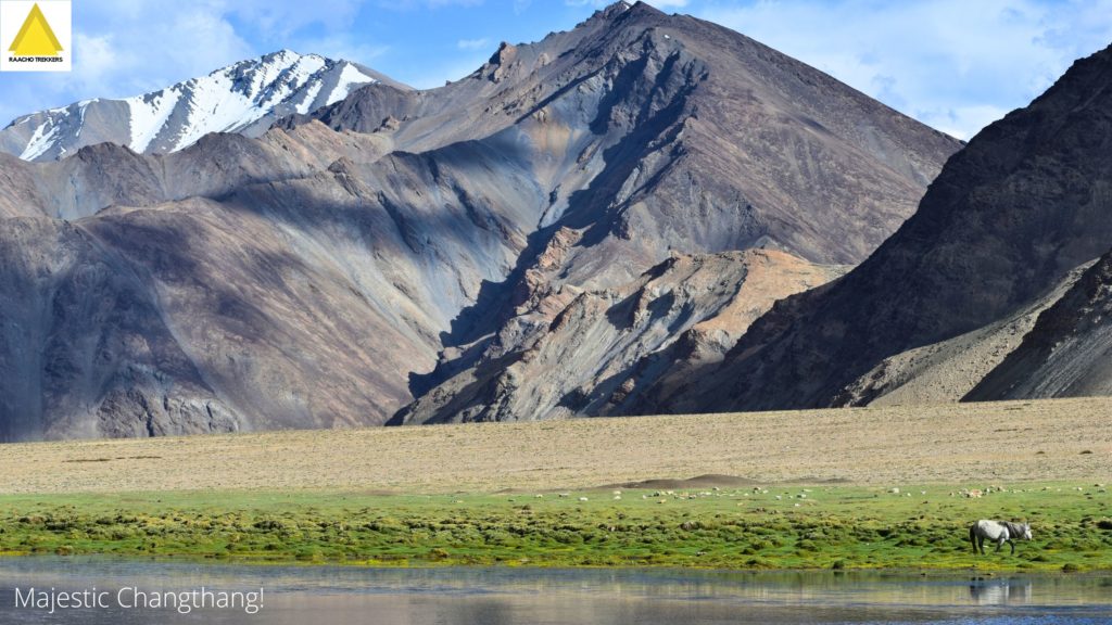 A wetland amidst granite mountains of Changthang