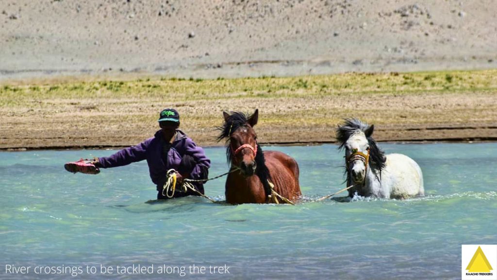 Horesemen and horses crossing a river in Changthang