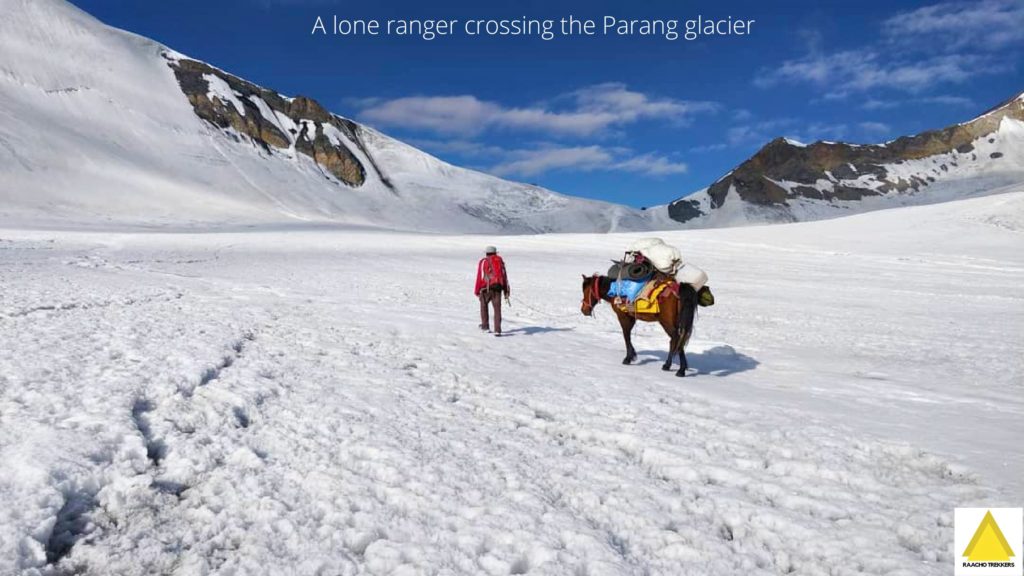 Walking on Parang La glacier with a horse carrying trek essentials