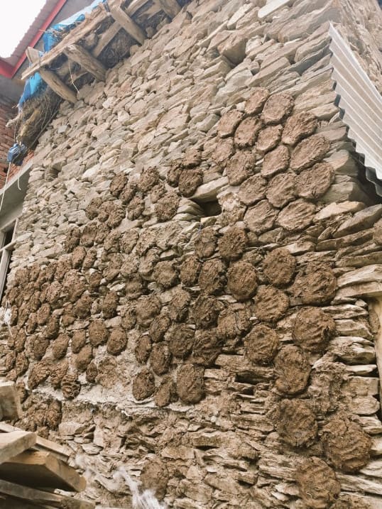 Cow dung cakes on stone wall in Charang