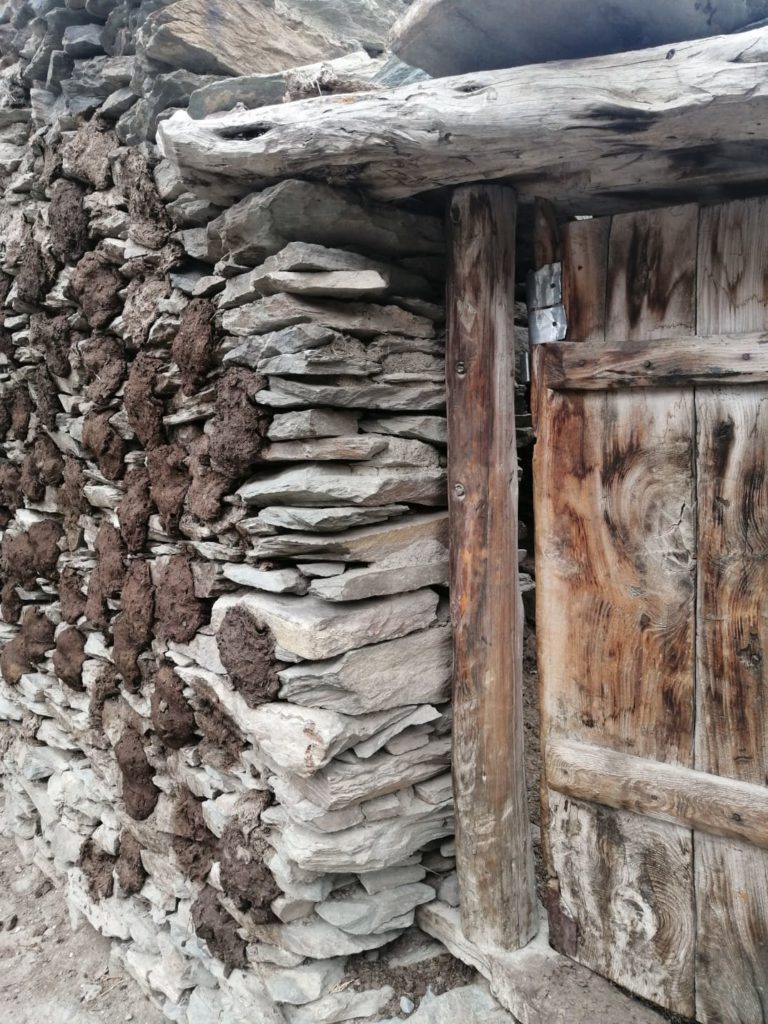 Cowdung cakes on stone wall