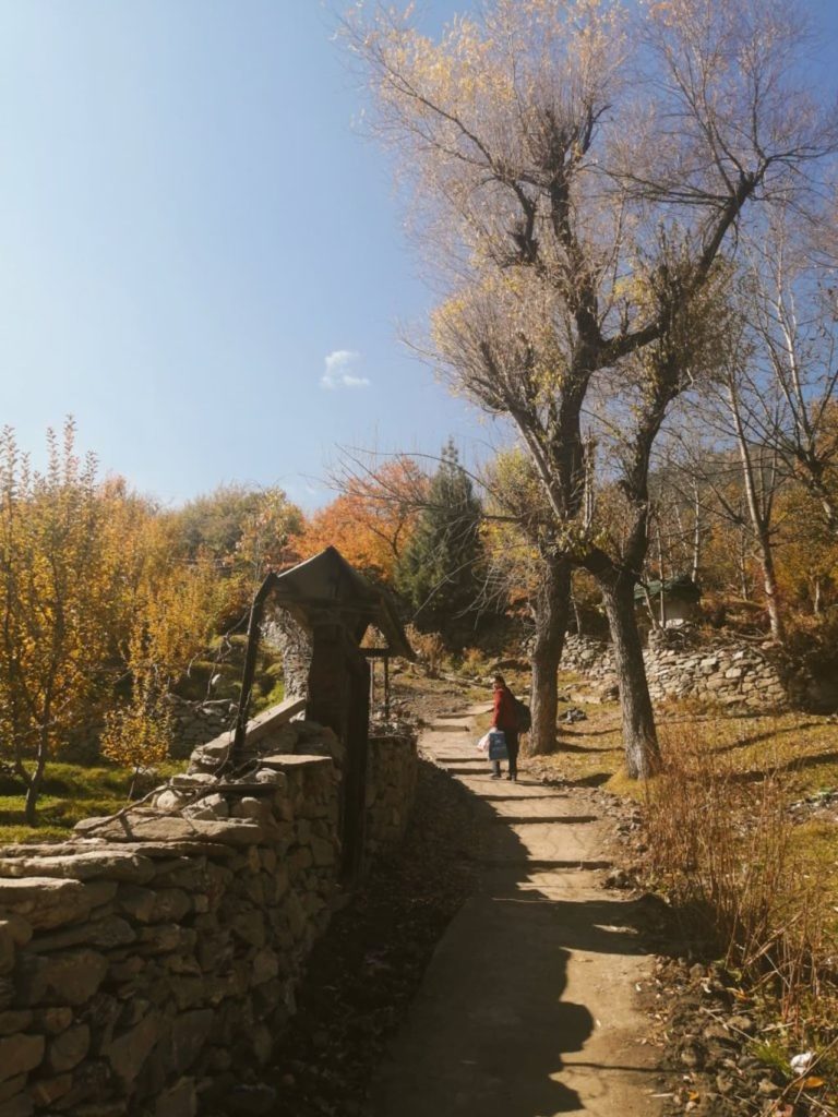 A walkway in Kalpa