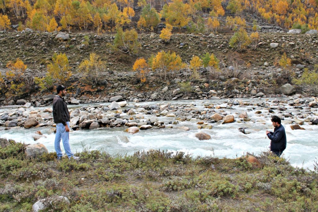 Ruminating by the river , Chitkul , Baspa valley , Kinnaur