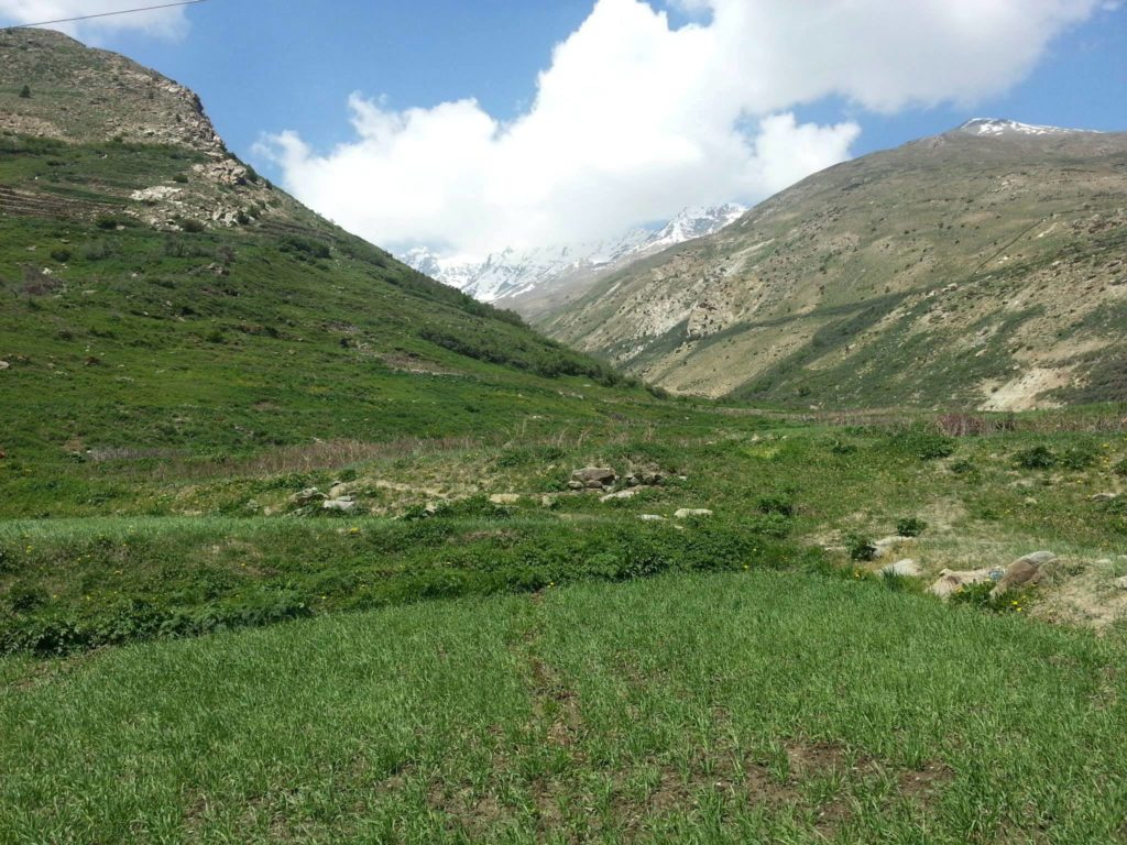 Green landscape of Charang village | Kinnaur Kailash Parikrama trek blog